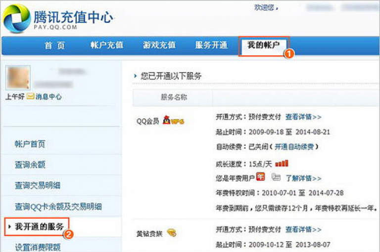 探索优惠之选，qq绿钻特惠开通渠道推荐。