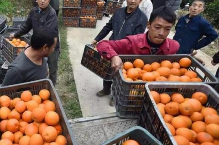 拼多多无限助力app是一款能够帮助用户在拼多多平台上获取更多优惠和助力的工具。
