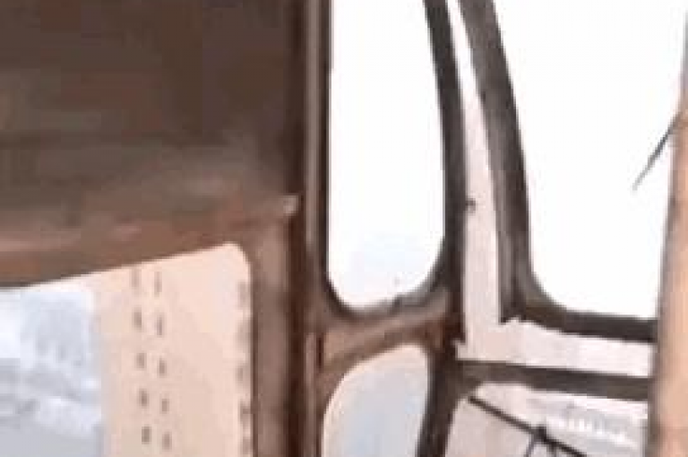 揭秘拼多多互助活动的真相，参与人数究竟有多少？