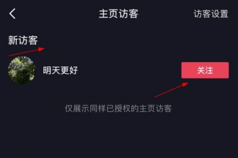 揭秘抖音24小时在线下单商城，免费获取10000qq空间访客量 - 探索直播间人气协议网站的奥秘！