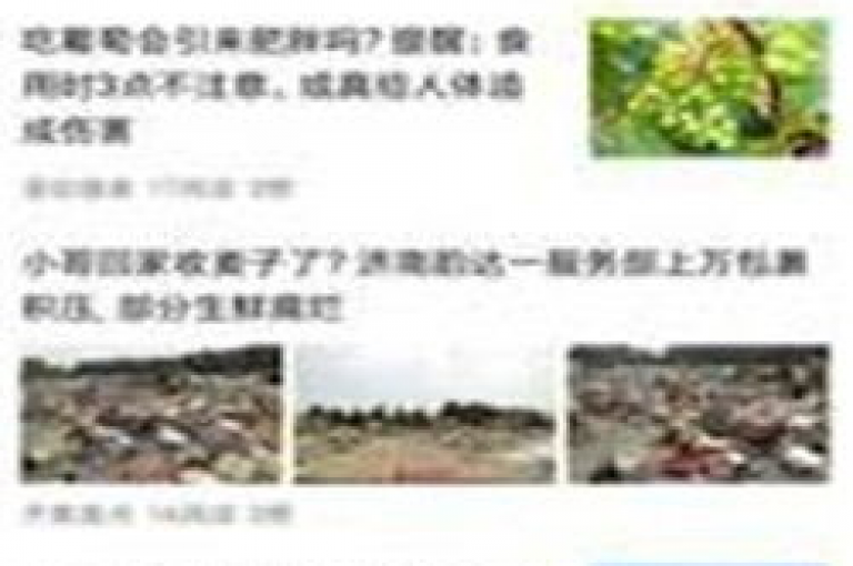 彩虹发卡网官网，作为业界领先的专业发卡平台，其2025年的学习计划备受瞩目。